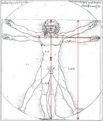 Part 2 The Golden Mean And Leonardo The Golden Mean Fractal Enlightenment Golden Ratio