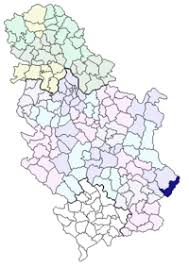 Цариброд, tsaribrod) is a town and municipality located in the pirot district of southeastern serbia. Dimitrovgrad Serbia