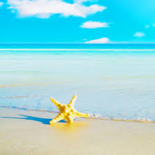 Зеленая трава с росой на обои. Leto Zhivye Oboi Dlya Android Skachat Apk