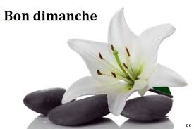 RÃ©sultat de recherche d'images pour "bon dimanche"