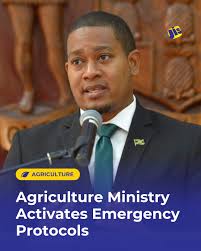The Ministry of Agriculture, Fisheries and Mining has activated its  emergency protocols and has convened its disaster management and mitigation  committee in preparation for Hurricane Melissa. Portfolio Minister, Hon.  Floyd Green, made