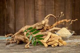 Daun atau pelepahnya agak besar, panjang, berbentuk tumbuhan herba ini dipercayai boleh mengekalkan a$et muda dan digunakan sebagai ramuan dalam menyediakan tonik untuk lelaki dan perempuan. Tidak Hanya Untuk Vitalitas Pria Ini 6 Manfaat Pasak Bumi Yang Perlu Diketahui Alodokter