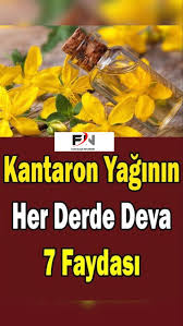 Kantaron Yaginin Cilde Faydalari Ve Zararlari Faydalari Nelerdir 2020 Dogal Saglik Saglik Saglik Urunleri