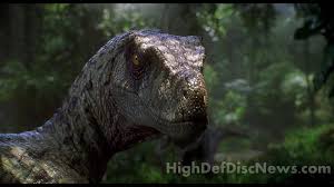 Velociraptor Wallpapers Top Free Velociraptor Backgrounds Wallpaperaccess A mobile wallpaper is a computer wallpaper sized to fit a mobile device such as a mobile phone, personal digital assistant or digital audio player. velociraptor wallpapers top free