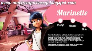 Marinette Ugur Bocegi Mucize Ugur Bocegi Ile Kara Kedi