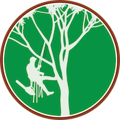 Tree Service Tree Removal Tree Trimming Boulder Co