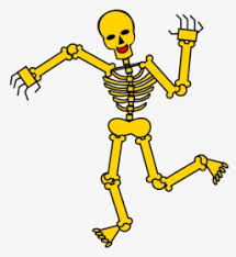 To help you draw the jaw, put your pencil on the vertical line where it touches the bottom of the smaller circle. Wolves Drawing Skeleton Skull Dog Base Drawing Hd Png Download Transparent Png Image Pngitem