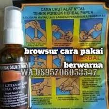 Namun efek samping daun bungkus papua dengan pemakaian awal mr p akan mengalami rasa panas dan gatal atau sampai melepuh pada kulit luar sebab panas yang. Terjual Minyak Wamena Minyak Daun Bungkus Kaskus