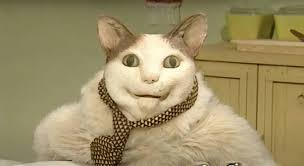 Бу! Испугался?»: история о том, как страшный говорящий кот из шоу стал  жутким мемом и взорвал соцсети.