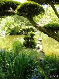 Parc Oriental De Maulevrier Maine Et Loire Parc Japonais Idees Jardin Parc