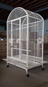 Used Bird Cages For Sale Near Me Everila Pcdt36 Large Bird Cage Parrot Cages Dometop 36x26x65 Macaw African Grey Cockatoo Egg Shell White Read Mor Large Bird Cages Parrot Cage African Grey