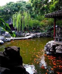 koi pond i have always had a backyard pond now i have one in my house it s a fish thing lol chinese garden beautiful gardens japanese garden