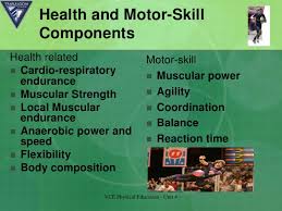 The well being of an individual encompasses many. Fitness Components