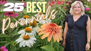 Image result for Bergia polyantha