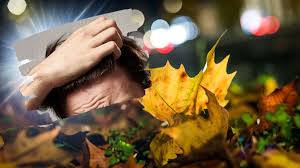 Sie fallen mit verneinender gebärde. Haarausfall Im Herbst Und Winter Was Den Haaren Jetzt Hilft Service