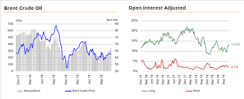 crude oil volatility soars amid opec risk investors bet on