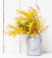 Westwing Home Living Dried Flowers Yellow Bouquets Yellow Flowers
