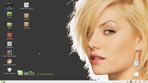 Apr 24, 2016 · alexiy wrote: Defrag Linux Mint 14 Vps And Vpn