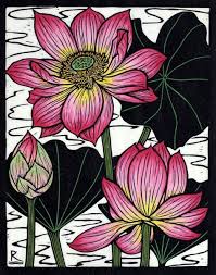 In this article, you can expect to learn some fundamentals where lotus flower care is. Claudia Mangiamele On Twitter Lotus Flowers Rachel Newling Uk Born Australian Artist