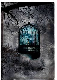 Black And White With Color Splash Wallpaper Splash Of Color Bilder Bunte Bilder Fotokunst