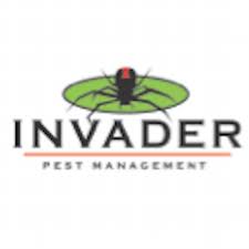 We offer a range of domestic, international and freight shipping services as well as the ups store offers convenient and affordable document shredding services in glendale, ca, provided by iron mountain®. Invader Pest Control Invaderpest Twitter