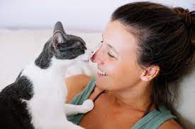 Why Do Cats Lick You? Experts Explain This Cat Behavior