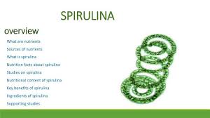Ppt Spirulina Powerpoint Presentation Free Download Id