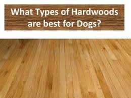 types of hardwood flooring for dogs
