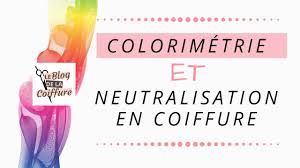 Il s'agit d'un contrat d'apprentissage sur un an (alternance de deux semaines en entreprise et une semaine au cfaie) après l'obtention du cap coiffure. Colorimetrie Et Neutralisation En Coiffure Explications Faciles