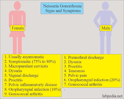 Image result for gonorrhea symptoms