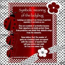 Symbolism Jewels Art Creation Ladybug Quotes Ladybug Meaning Ladybug