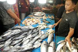 Pada kesempatan kali ini info ikan. Mahalnya Harga Ikan Di Pasar Tradisional Pontianak Antara News Kalimantan Barat