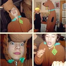 no homo > larry au [completed]