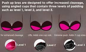 • a push up bra contains padding. Push Up Bra Vs Normal Bra Key Differences