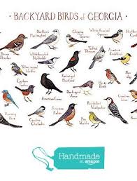 Identification Birds Of North Georgia Amazon Com Backyard Birds Of Georgia Field Guide Art Print Handmade Backyard Birds Birds Of Georgia Bird Poster