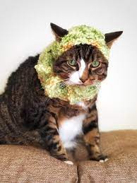 Crochet Cat Hat Scarf Green Small Dog Hat Scarf Unique Etsy Crochet Cat Dog Hat Dog Scarfs