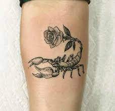 Maybe you would like to learn more about one of these? 55 Besten Skorpion Tattoos Designs Und Ideen Mit Sinn Skorp Scorpio Tattoo Zodiac Tattoos Body Art Tattoos