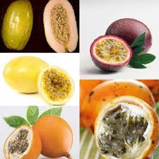 Maybe you would like to learn more about one of these? Manfaat Buah Markisa Untuk Kesehatan