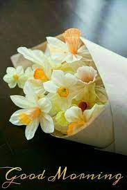 Inspirational good morning quotes with beautiful flowers. 56 Best Good Morning Flowers Images Boom Sumo