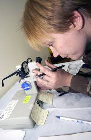 51 Monique Images: PICRYL