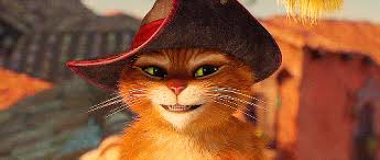 Https Encrypted Tbn0 Gstatic Com Images Q Tbn And9gct2m9 3ukmvaqtbfcsiqifzdtolykbvy2eiwq Usqp Cau