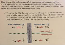 Urine ph varies with diet and acid. Solved I Need To Know The Output When Weak Acid Pka 6 Chegg Com