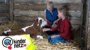 Milchmadchenrechnung Folge 48 Tiere Bis Unters Dach Swr Kindernetz Youtube