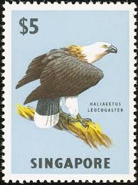 White Bellied Sea Eagle Stamps Mainly Images Gallery Format Singapore Old Stamps Stamp
