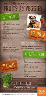 Cauliflower for dogs is safe in moderation, but it's known for increasing flatulence. Dog Safe Food Chart Ideas What To Feed Your Dog
