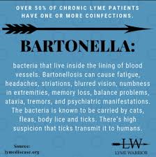 Pin By Lauren On Lyme Memory Problems Memory Loss Lyme