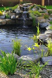 Check out our japanese koi pond selection for the very best in unique or custom, handmade pieces from our shops. Building Natural Ponds Ebook In 2020 Pond Landscaping Fish Pond Gardens Garden Pond Design