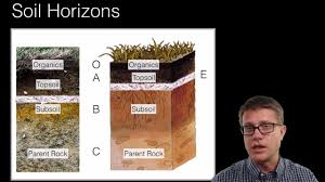 Soil formation worksheet soil is a mixture of weathered rock & organic matter that usually covers bedrock (solid rock that underlies all soil). Ess Topic 5 1 Introduction To Soil Systems Amazing World Of Science With Mr Green