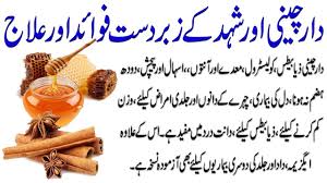 Benefit Of Dalcheni With Honey In Urdu Dalchini Se Ilaj In Urdu Darchini Ke Fawaid In Urdu Youtube