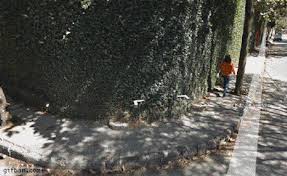 Reduce the filesize of many gif images at once online. 33 Desastrosas Imagenes Del Sismo En Mexico Imagenes Divertidas Gifs Risa Momentos Divertidos